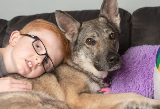 dog with kid