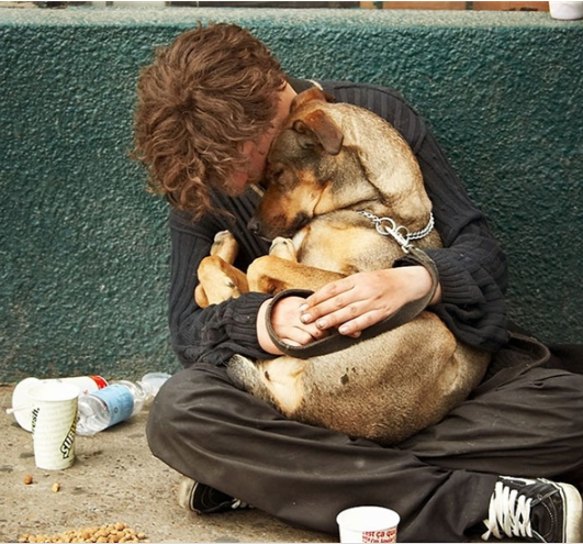 dog and stray boy